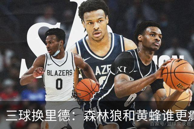三球换里德：森林狼和黄蜂谁更癫？！