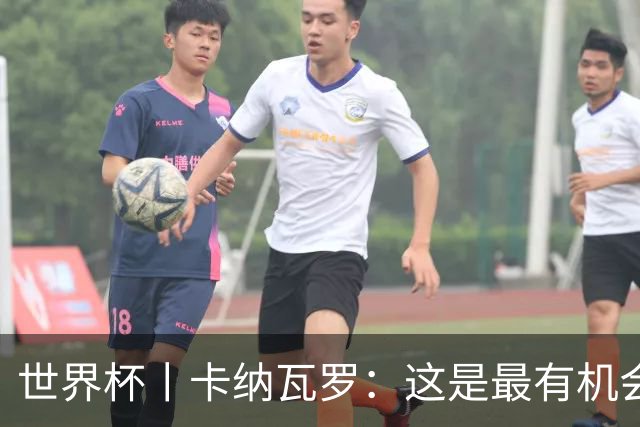 世界杯丨卡纳瓦罗：这是最有机会拿下的一场