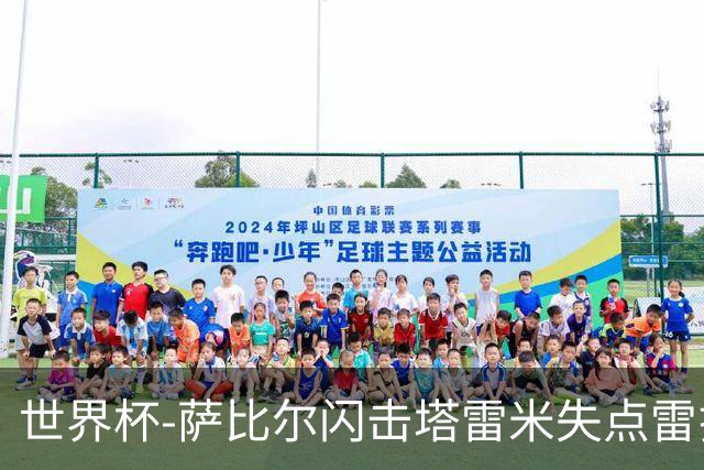 世界杯-萨比尔闪击塔雷米失点雷扎伊扬扳平 半场埃及1-1伊朗