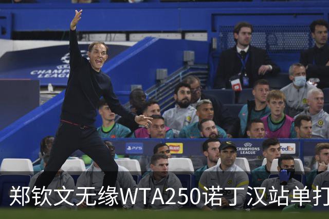 郑钦文无缘WTA250诺丁汉站单打八强